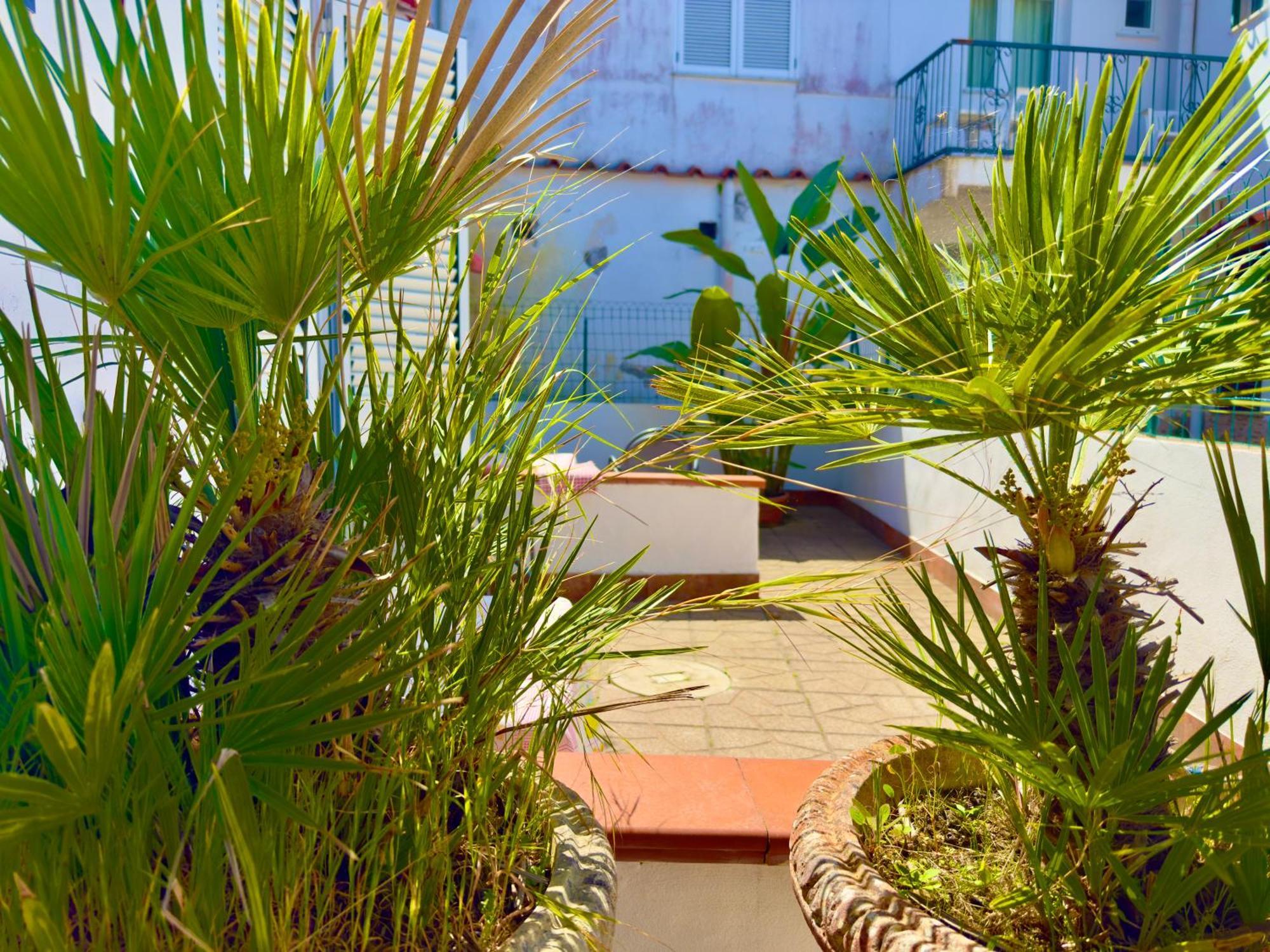 Hotel Villa Fiorentina Casamicciola Terme Eksteriør billede